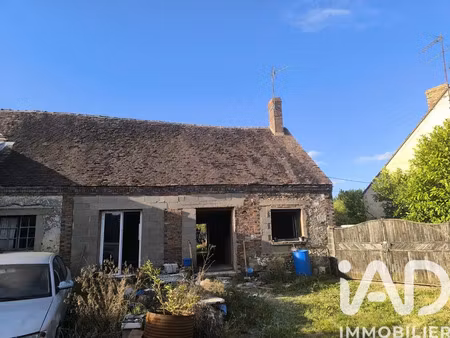 maison de campagne à cudot (89116)