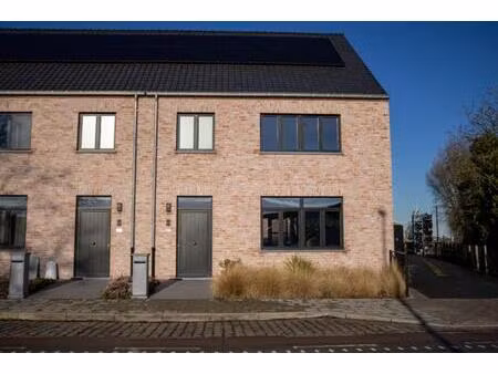 huis te huur in zeebrugge