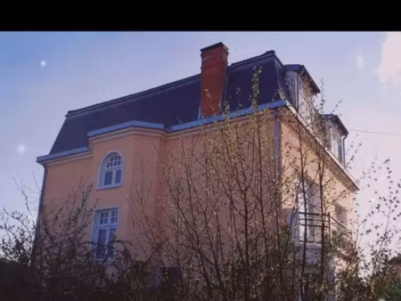somptueux haussmannien avec activité de chambres d'hôtes de prestige