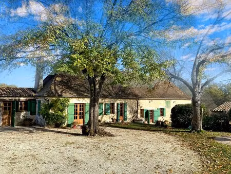 charmante maison en pierre avec piscine dans un cadre viticole  à proximité de bergerac