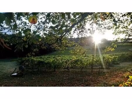 vente terrain à construire 828 m² sallebœuf (33370)