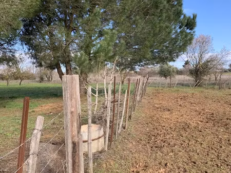terrain agricole à aimargues (30470)