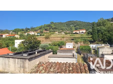 appartement à arles-sur-tech (66150)