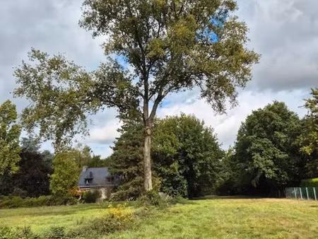 terrain à bâtir à guipry (35480)