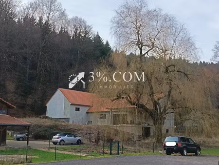 vente villa 5 pièces 136 m² à wangenbourg-engenthal (67710)  401 700 €