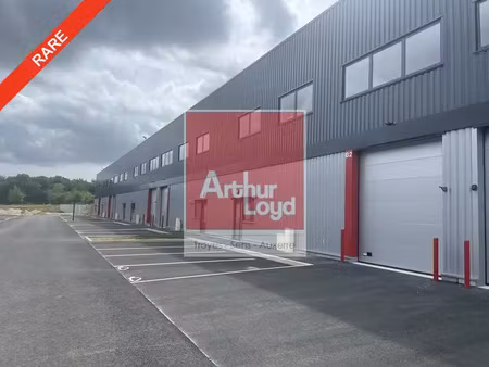 entrepot - local d'activite a louer