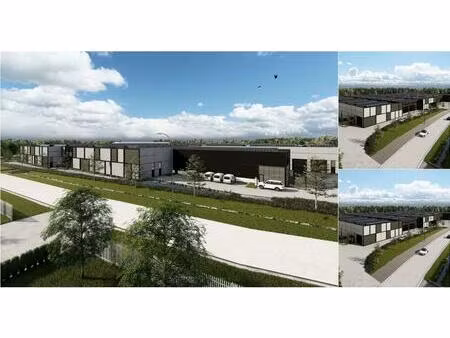 surface industrielle à louer à filliersdreef 15 deinze (rbv38251)