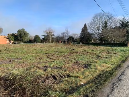 vente terrain 500 m² castelnau-de-médoc (33480)