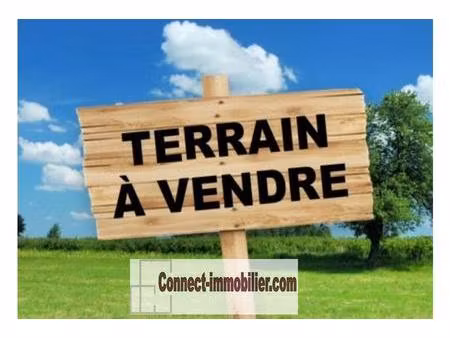 terrain constructible