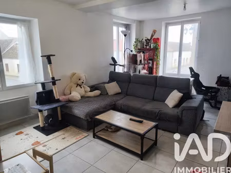 immeuble à boynes (45300)