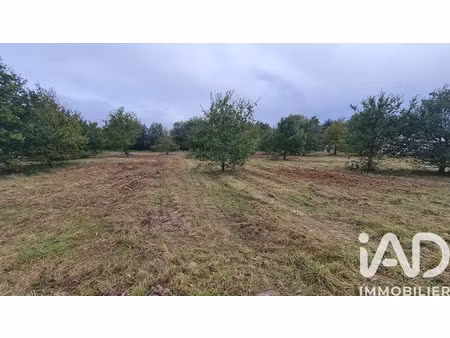 terrain à bâtir à coudroy (45260)