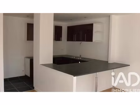 immeuble à artenay (45410)