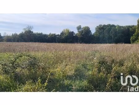 terrain à bâtir à la cour-marigny (45260)