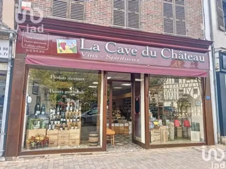 murs commerciaux à château-renard (45220)