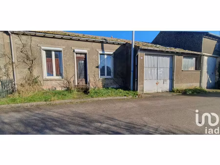 maison de village à boynes (45300)