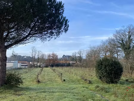 terrain à coëx (85220)