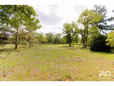 terrain à moisson (78840)