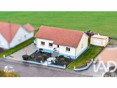 maison à teting-sur-nied (57385)