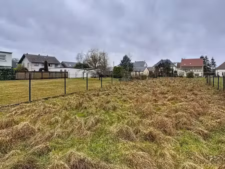 terrain à sarralbe (57430)