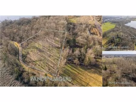 terrain agricole à vendre à battenbroek 0 walem (rbv37943)