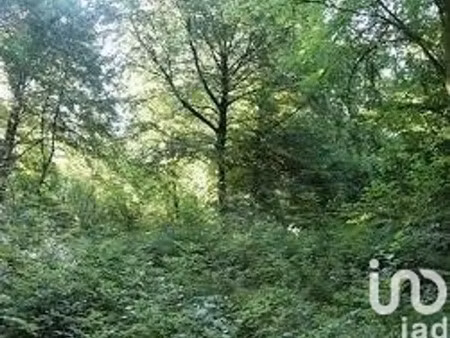 terrain à mareil-marly (78750)
