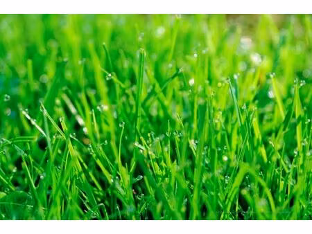 vente terrain 731 m² septème (38780)