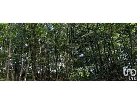 terrain à soulvache (44660)