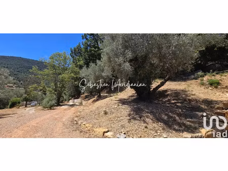 terrain à solliès-toucas (83210)