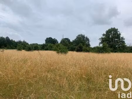vente terrain à aubigné-racan (72800) : à vendre / 24047m² aubigné-racan