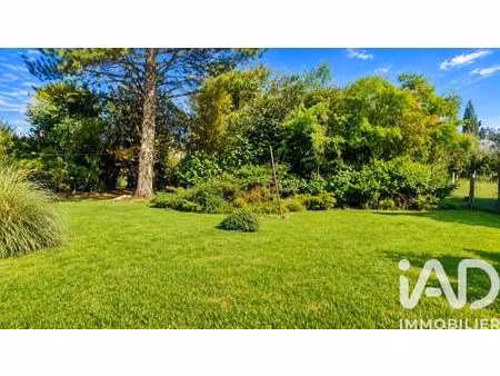 vente terrain à coutras (33230) : à vendre / 660m² coutras