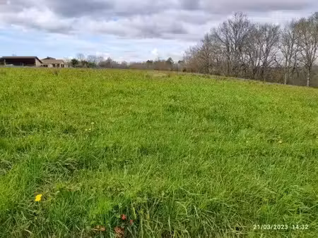 terrain à bâtir
