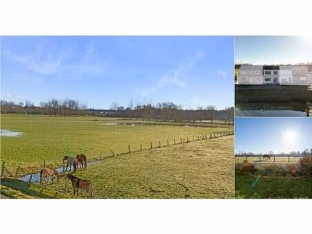 maison à vendre avec terrasse et jardin   denderleeuw (rbv37890)