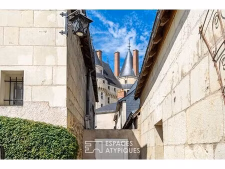propriété de caractère avec local commercial et chambres d'hôtes face au château de...
