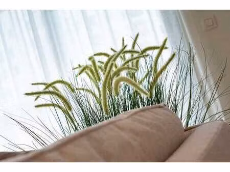 appartement 3 chambres namur  epc b