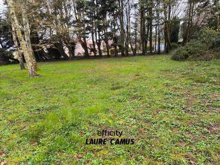 vente terrain à saint-hilaire-la-forêt (85440) : à vendre / 300m² saint-hilaire-la-forêt