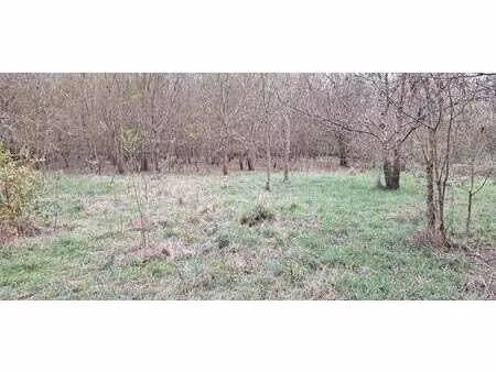 vente terrain à ancenis (44150) : à vendre / ancenis