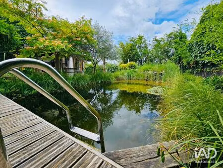 vente maison 4 pièces 164 m² algolsheim (68600)