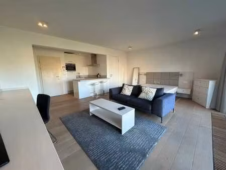 magnifique & spacieux studio de 50m² localisation aaa+