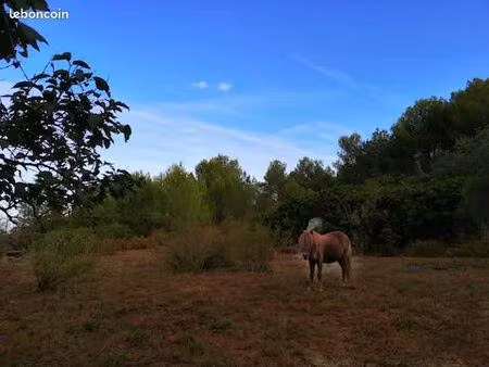 bas de villa meublé