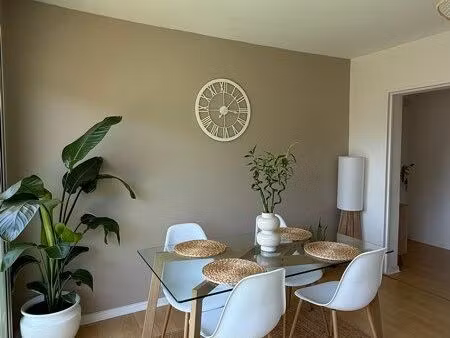 magnifique appartement t3 lourdes