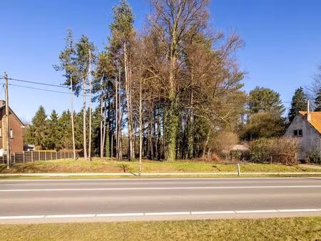 terrain à vendre à olen € 189.000 (llkro) - heylen vastgoed - herentals | zimmo