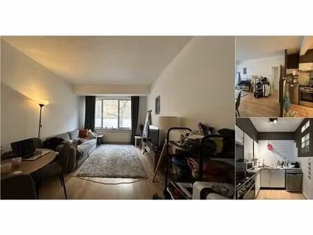 appartement à louer avec 1 chambre   ixelles (vbd93231)
