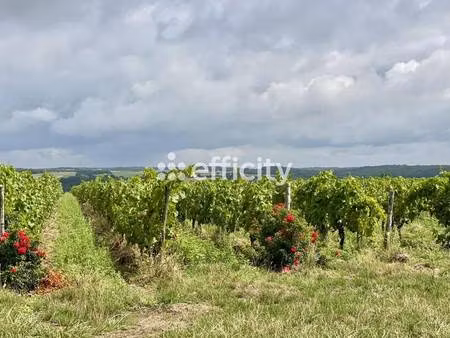 terrain à vendre