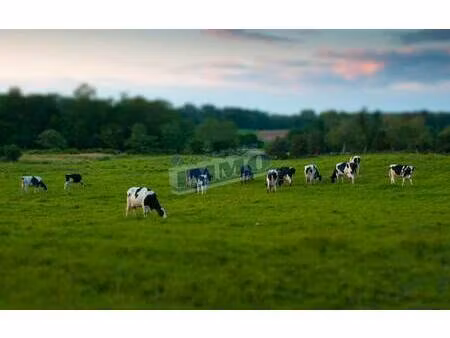 terrain champêtre/forestier à vendre