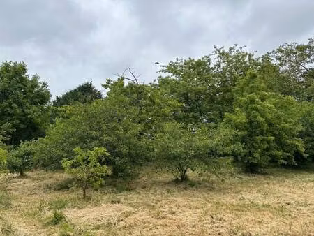 terrain constructible à vendre