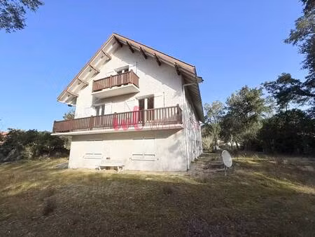 teddy jego consultant en immobilier