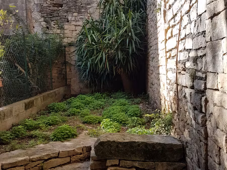 appartement avec cour - p2 bis - rdc - bernis