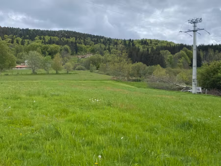 terrain constructible