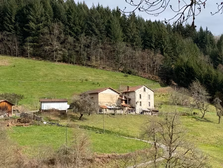 maison/villa 5 pièces