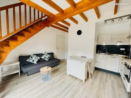 magnifique duplex 2 pièces aux minimes